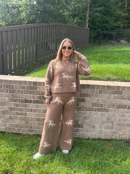 Strawflower Graphic Horse Print Sweater Set