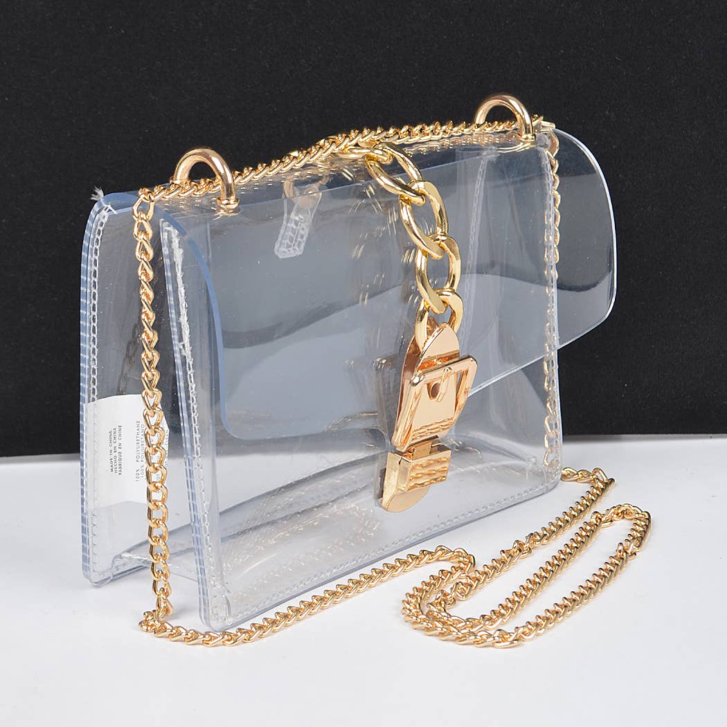 Diana Metal Buckle Clear Crossbody Bag