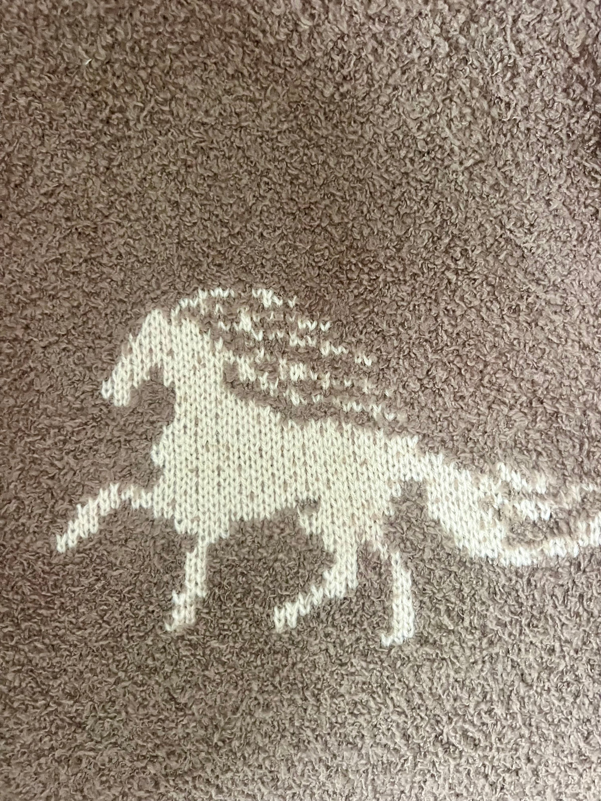 Strawflower Graphic Horse Print Sweater Set