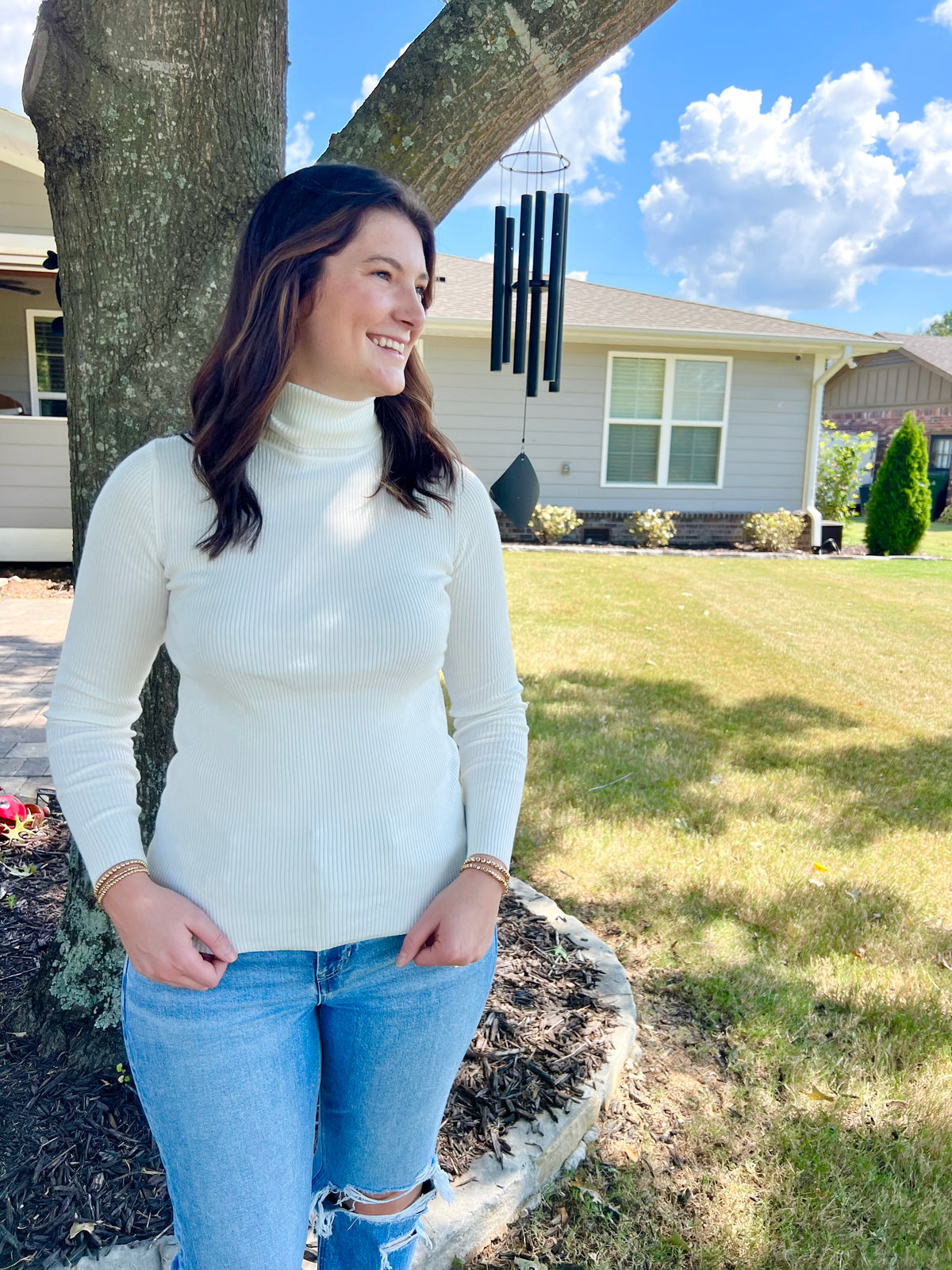 Hosta Ribbed Turtleneck Pullover