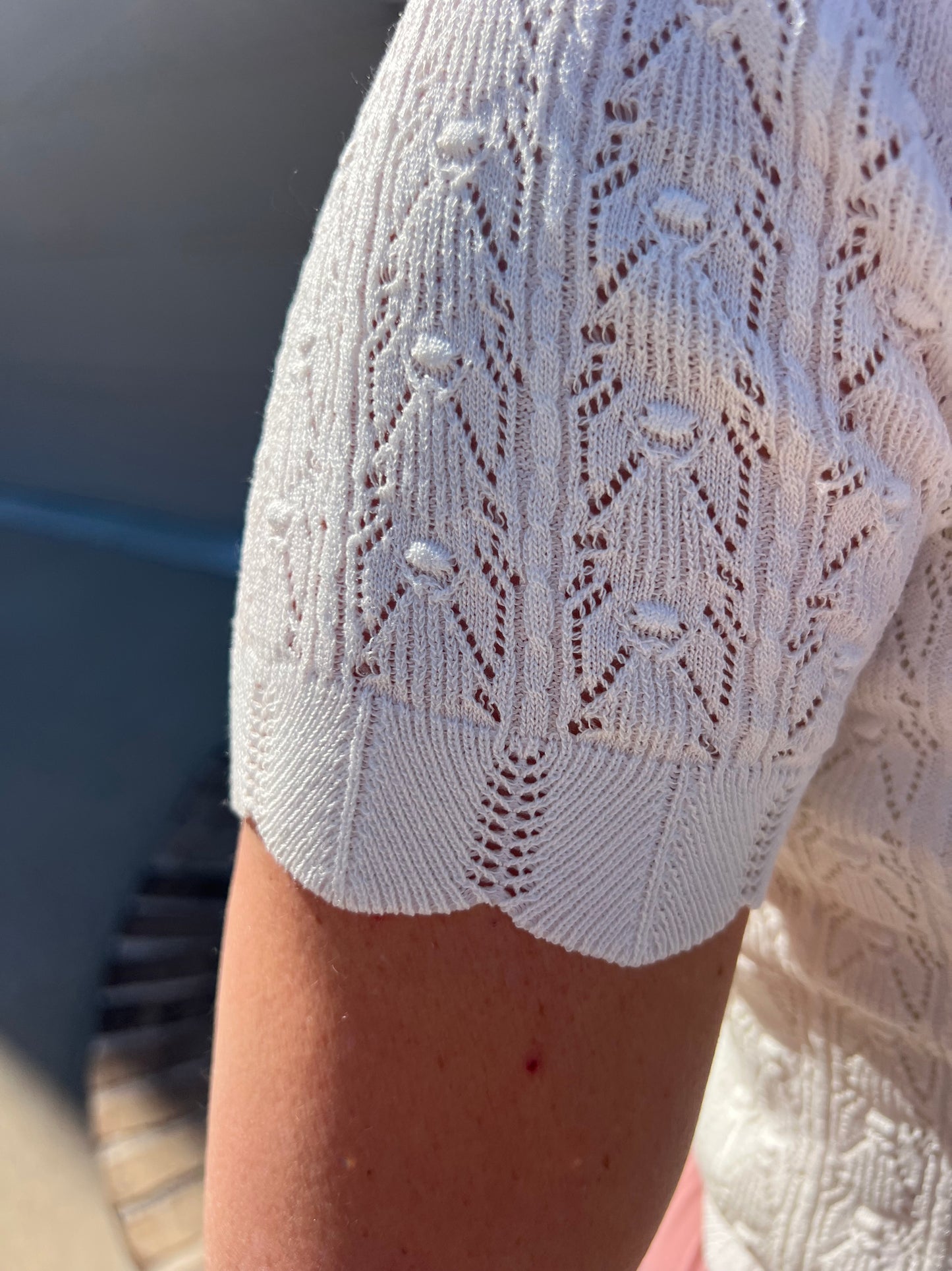 Edelweiss Pointelle Short Sleeve Knit Top
