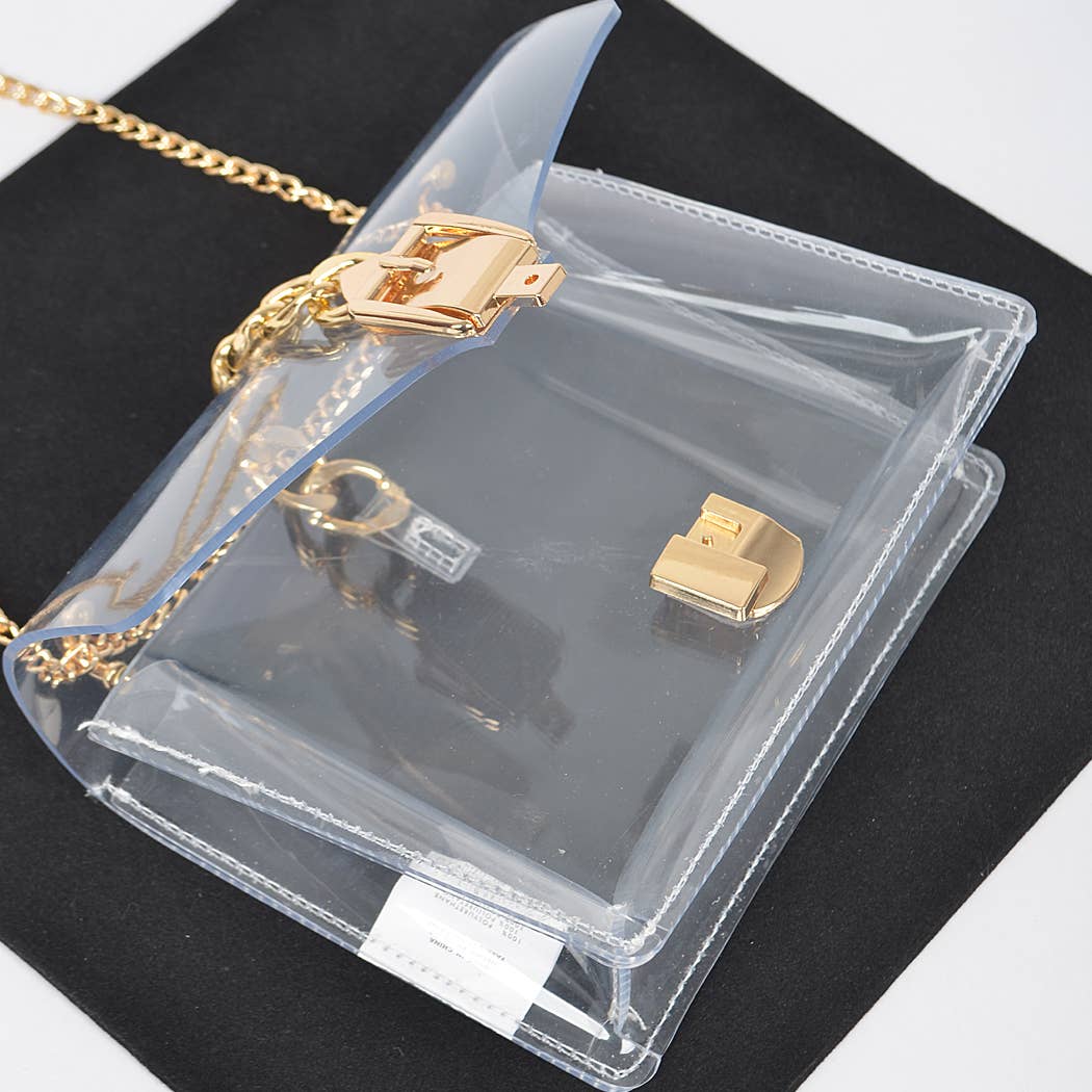 Diana Metal Buckle Clear Crossbody Bag