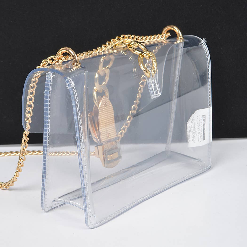 Diana Metal Buckle Clear Crossbody Bag